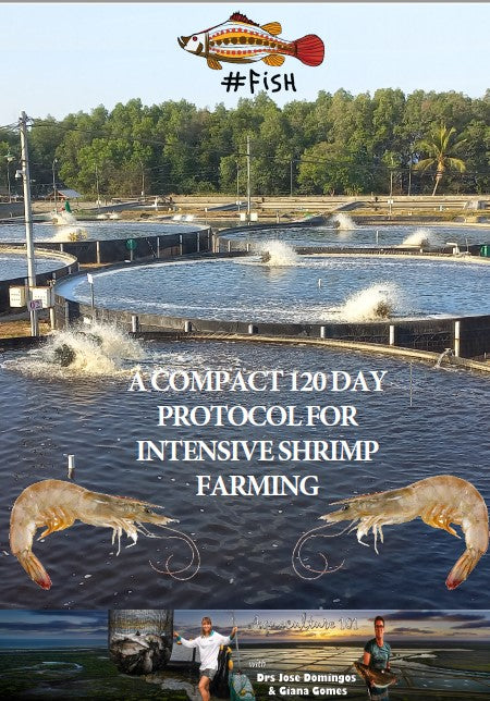A COMPACT 120-DAY PROTOCOL FOR INTENSIVE SHRIMP FARMING